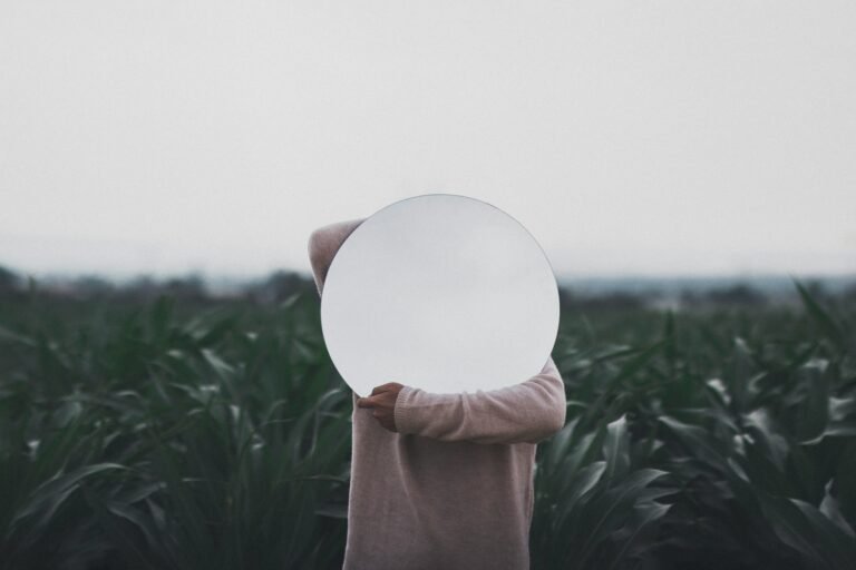 amir-mahdi-fdmT46Kwe08-unsplash