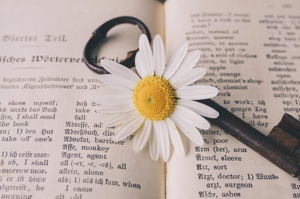 key, nature, beautiful flowers, old, flower, nostalgic, vintage, marguerite, blossom, bloom, rust, metal, antique, dictionary, german-english, flower background, translation, words, flower wallpaper, a book